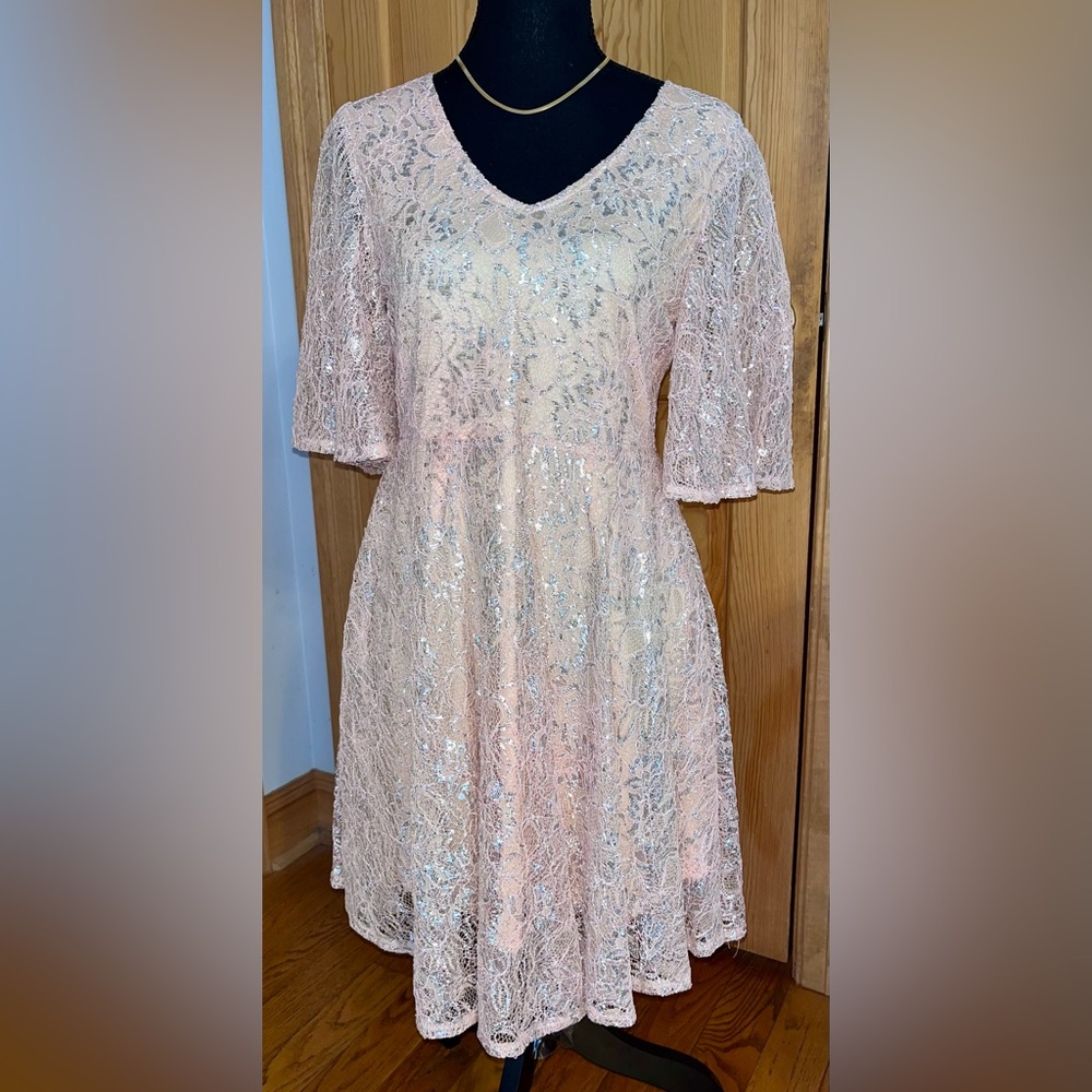 Rare One-of-a-Kind! NWT Raga "Fresh Sample" Pastel Pink & Silver Lace Midi Dress